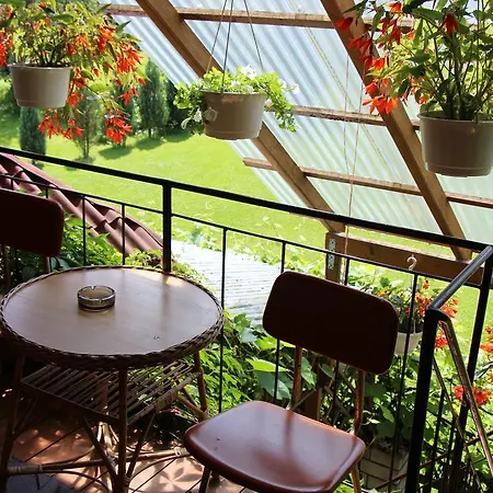 Jagodowa Róża - Maria Farganus Casa de Campo