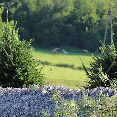 Jagodowa Róża - Maria Farganus Casa de Campo *