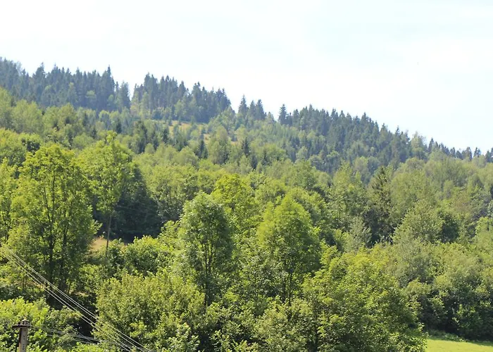 Jagodowa Roza - Maria Farganus Летний дом