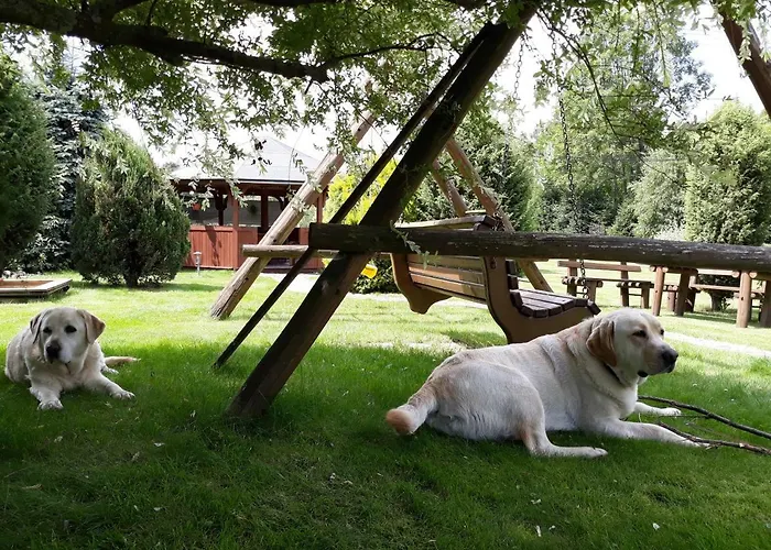 Jagodowa Roza - Maria Farganus *